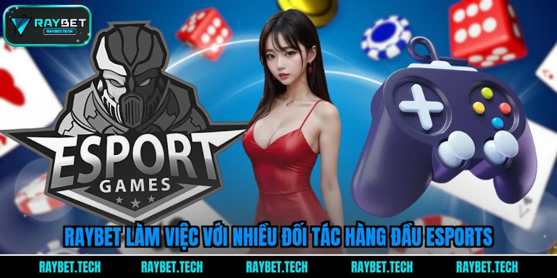 raybet-lam-viec-voi-nhieu-doi-tac-hang-dau-esports